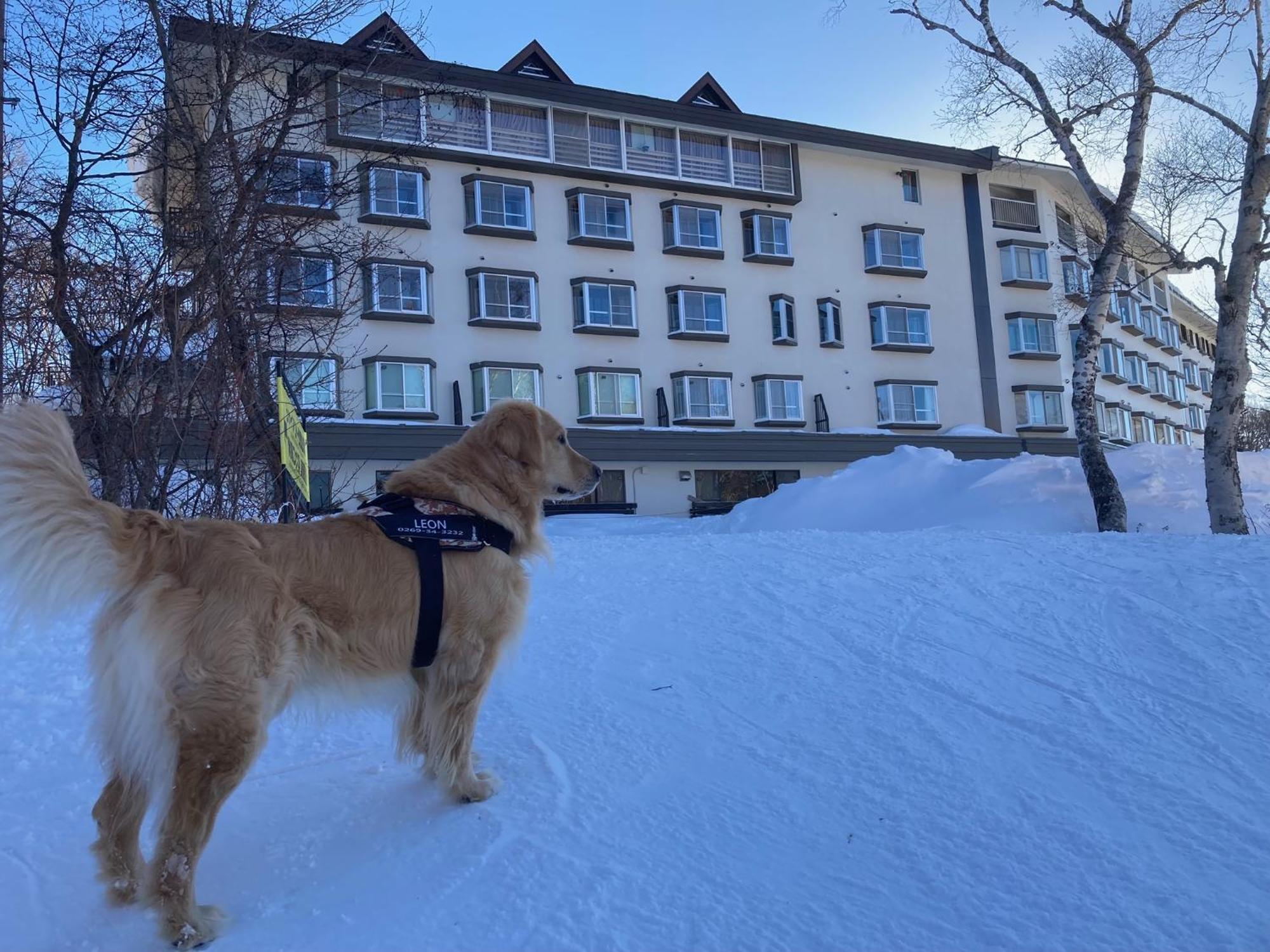 Shiga Lake Hotel Yamanouchi  Exterior foto