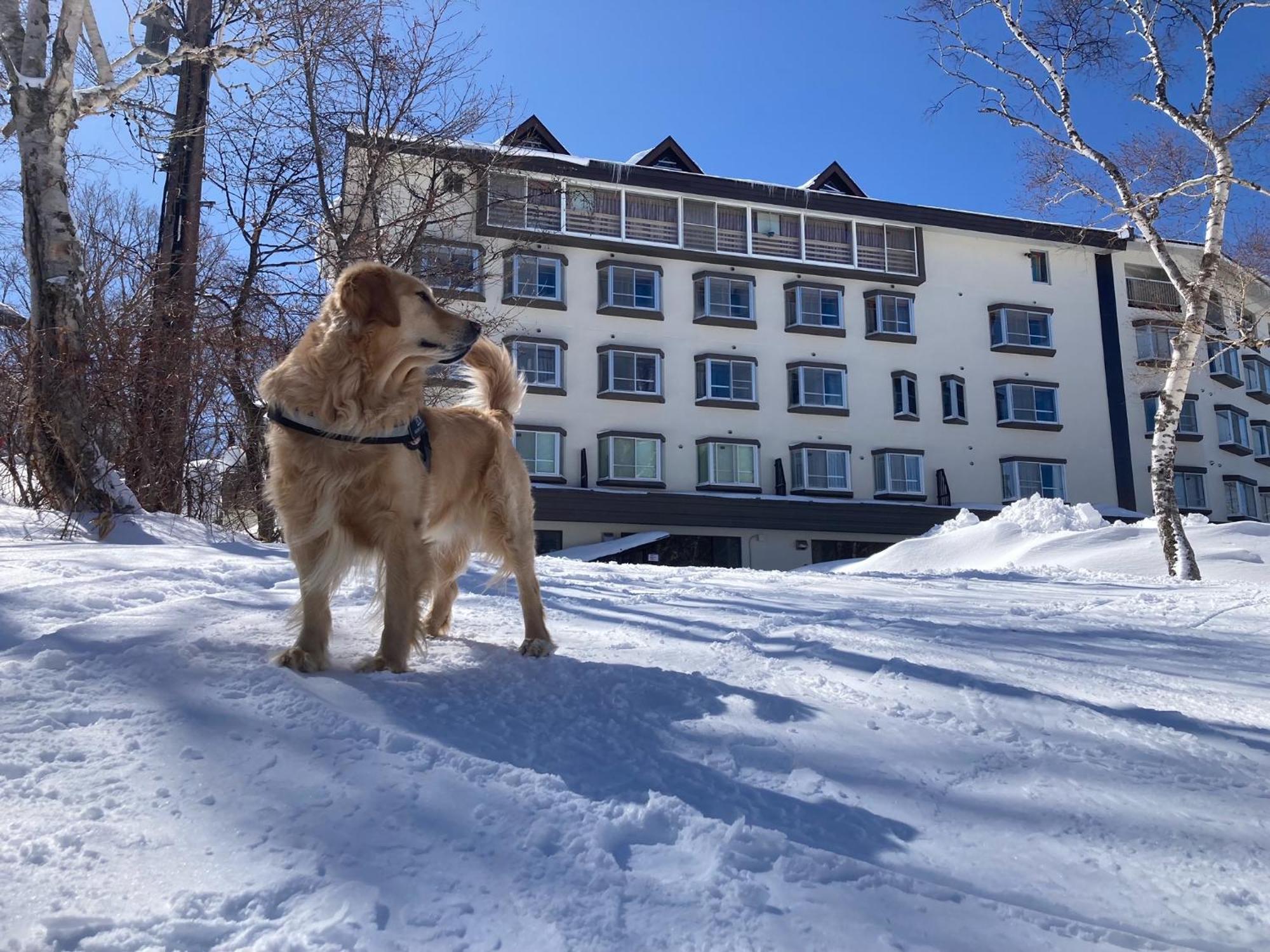 Shiga Lake Hotel Yamanouchi  Exterior foto
